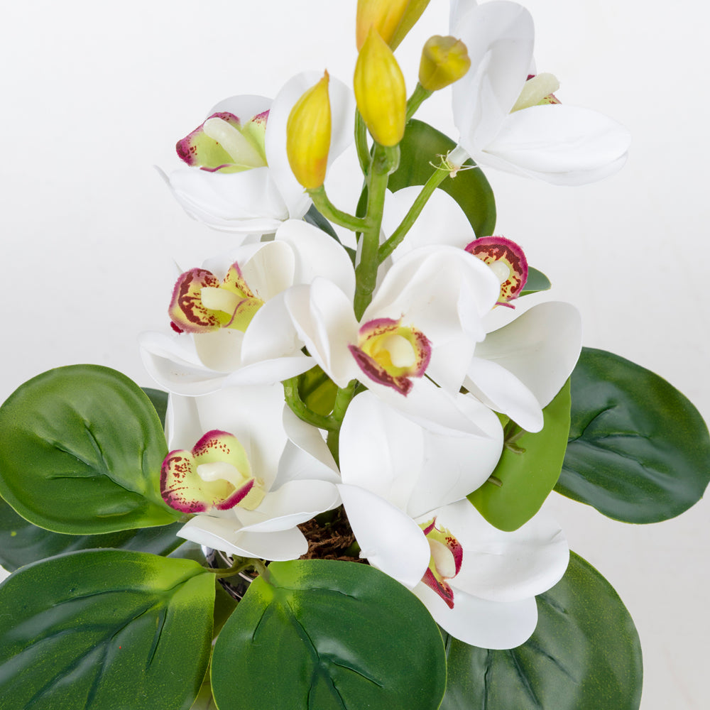 Beyaz Orkide Aranjmanı – Mini Metal Vazosunda