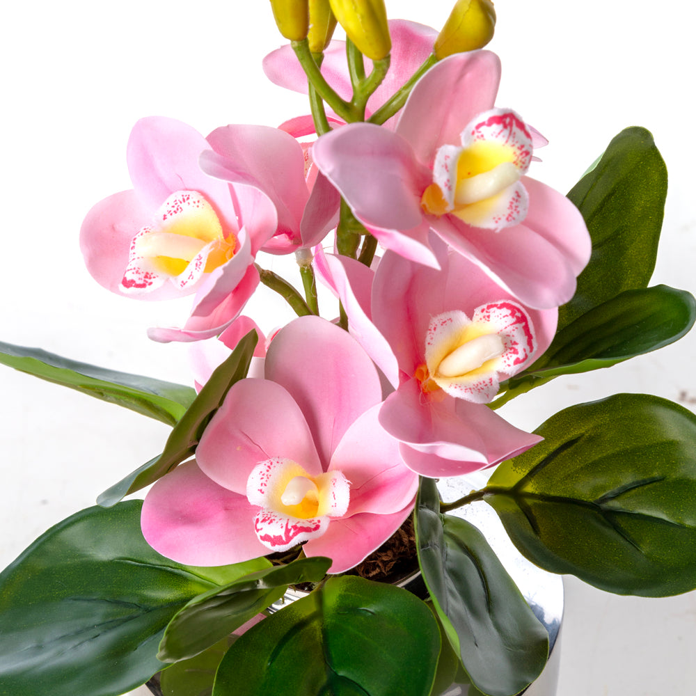 Pembe Orkide Aranjmanı – Mini Metal Vazosunda