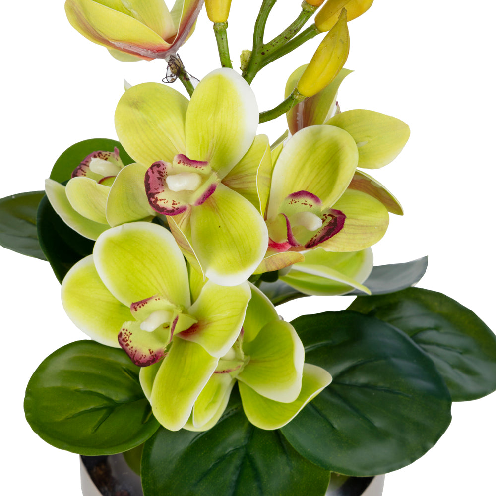 Yeşil Orkide Aranjmanı – Mini Metal Vazosunda