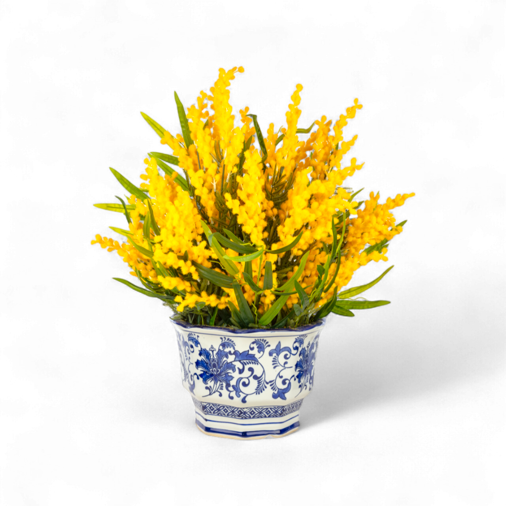 Büyük Mimoza Aranjmanı – Bleu Blanc Desenli Seramik Vazoda