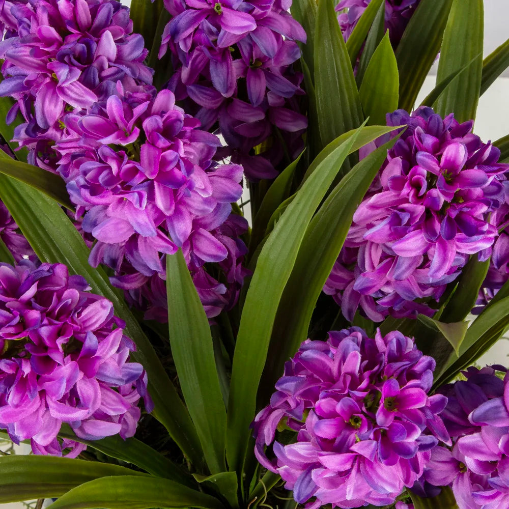 Mor Sümbül Aranjmanı – Bleu Blanc Saksıda