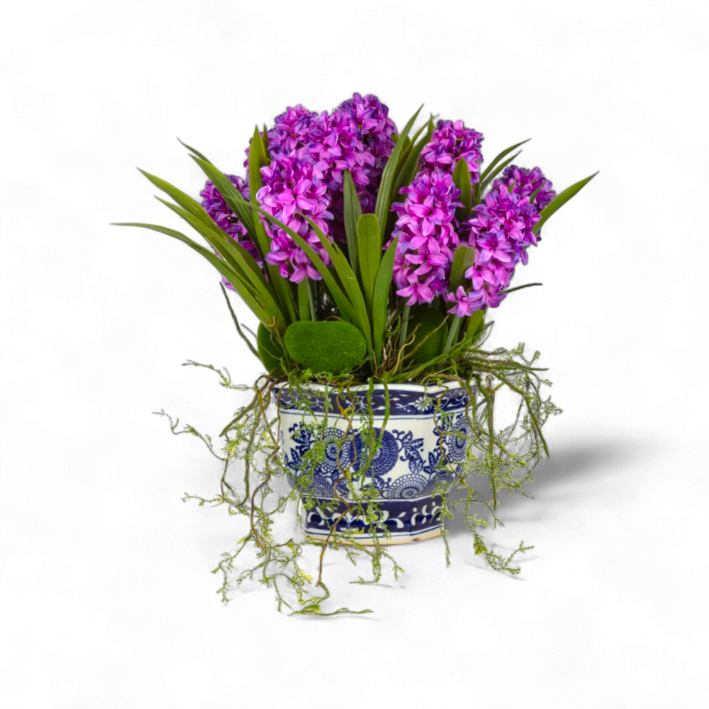 Mor Sümbül Aranjmanı – Bleu Blanc Saksıda