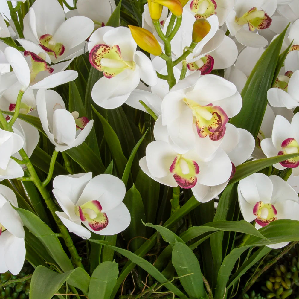 Gümüş Metal Saksıda Beyaz Orkide Aranjman