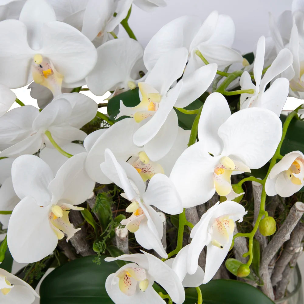 Beyaz Orkide Aranjmanı – Yatay Cam Vazoda