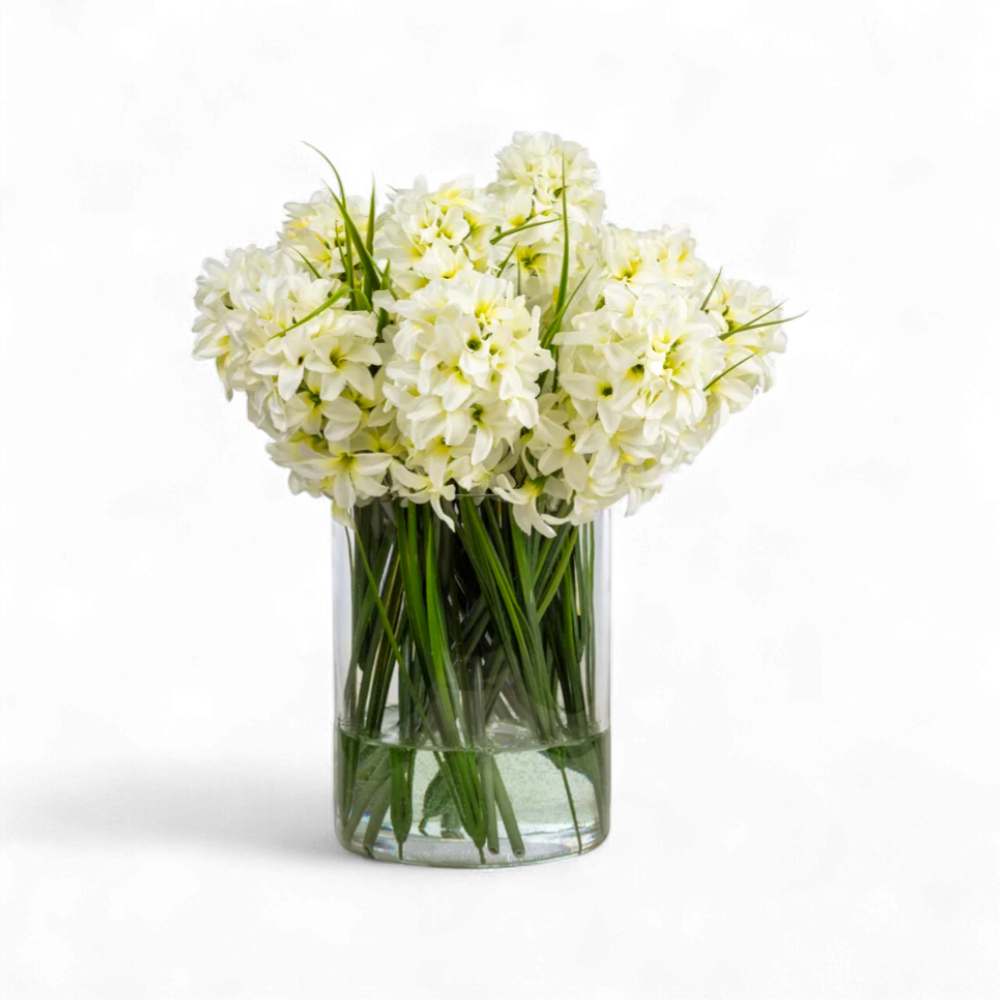 Beyaz Sümbül Aranjmanı – Silindir Cam Vazoda