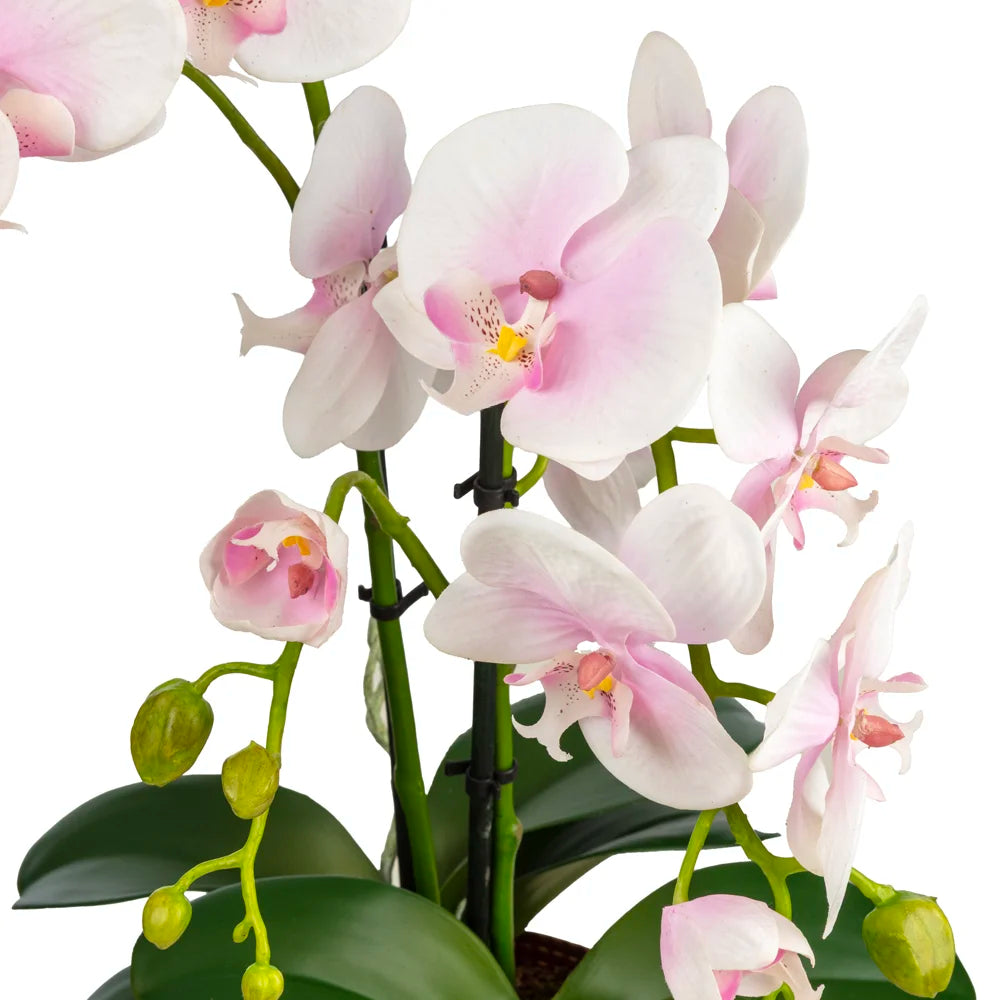 Pembe Orkide Aranjmanı – Bakır Renkli Metal Saksıda