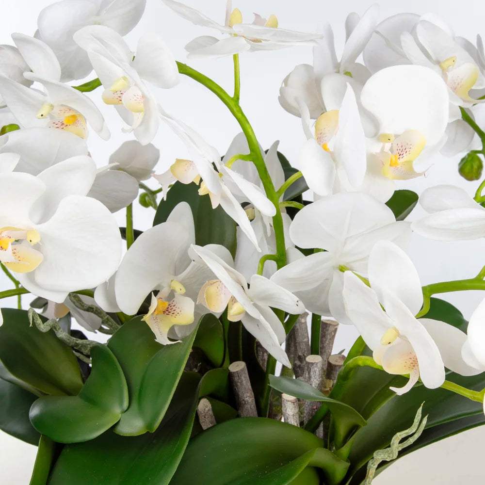 Beyaz Orkide Aranjmanı – Cam Vazoda
