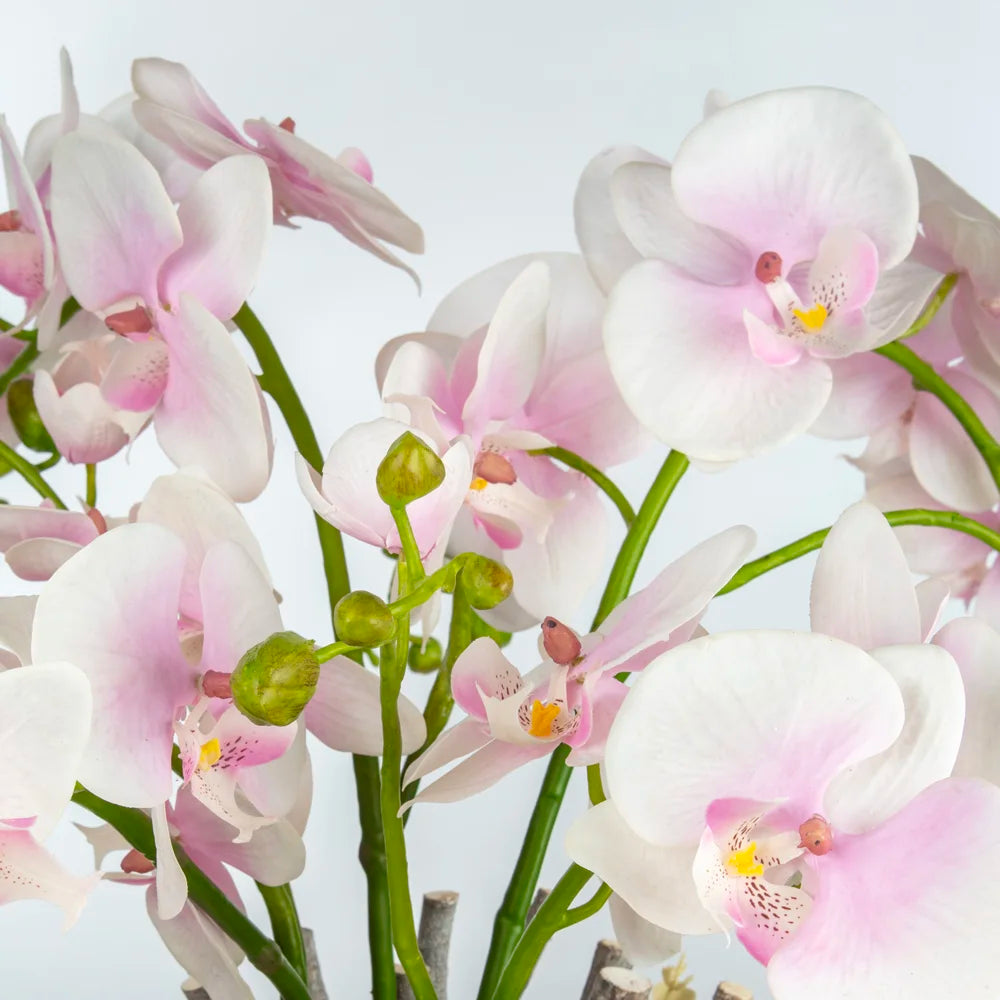 Pembe Orkide Aranjmanı – Cam Vazoda