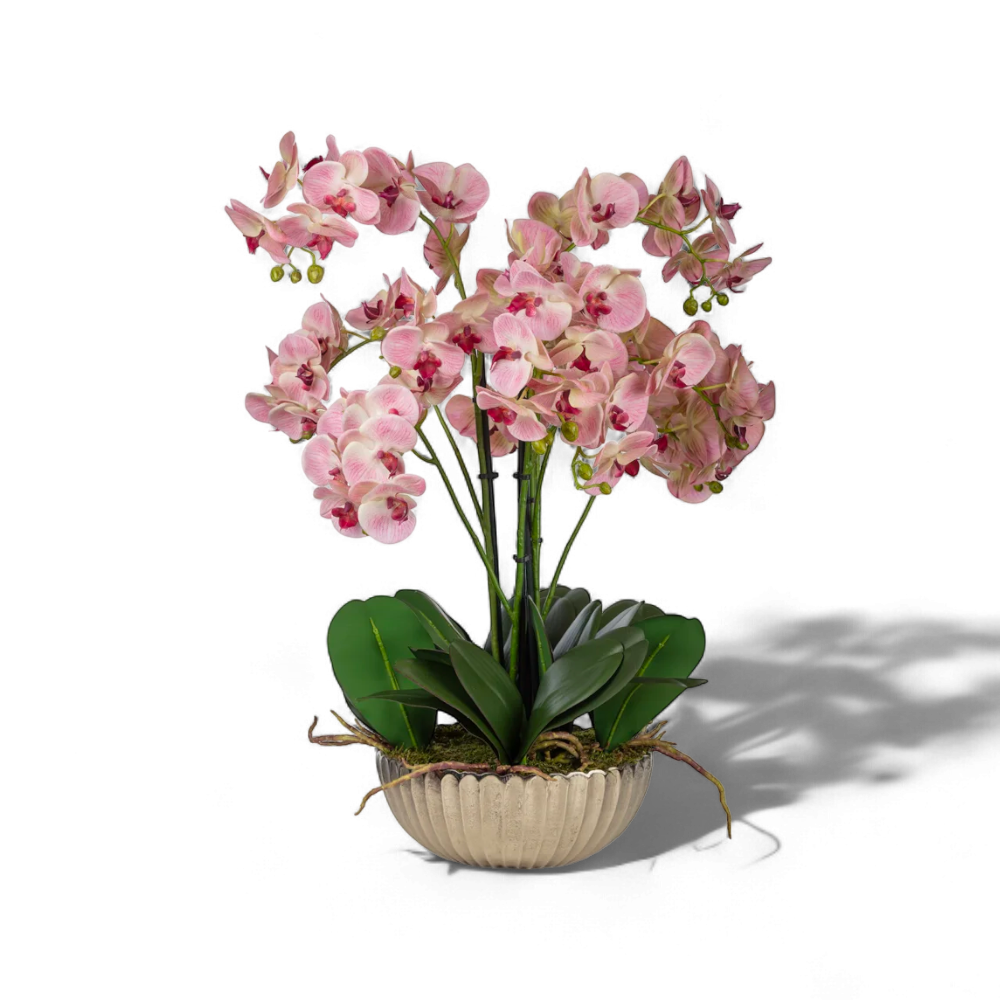 Pembe Orkide Aranjmanı – Seramik Saksıda