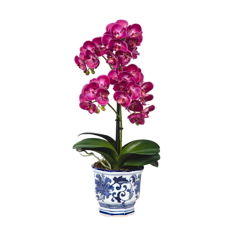 Mor Orkide Aranjmanı – Bleu Blanc Seramik Saksıda