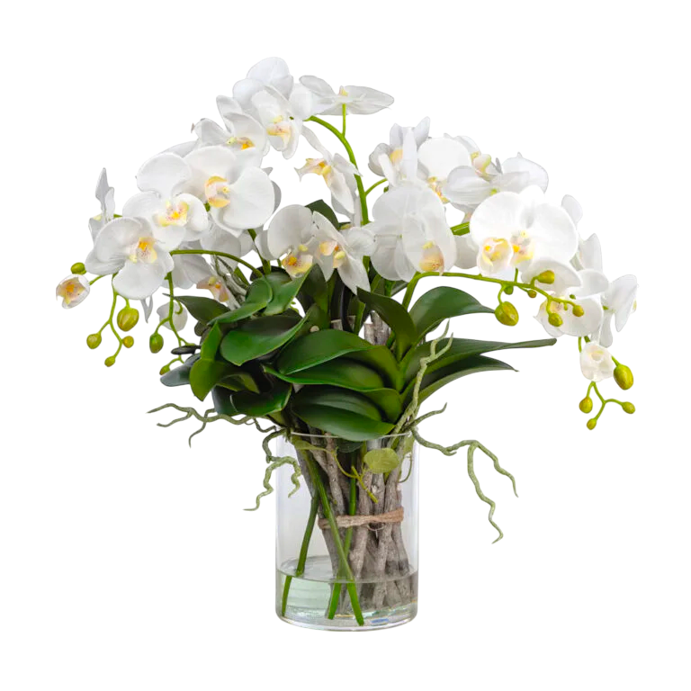 Beyaz Orkide Aranjmanı – Cam Vazoda