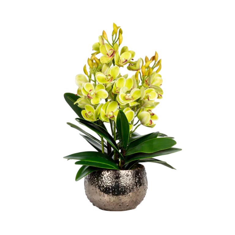 Yeşil Orkide Aranjmanı – Dokulu Metal Saksıda