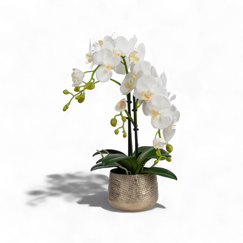 Beyaz Orkide Aranjmanı – Metal Saksıda