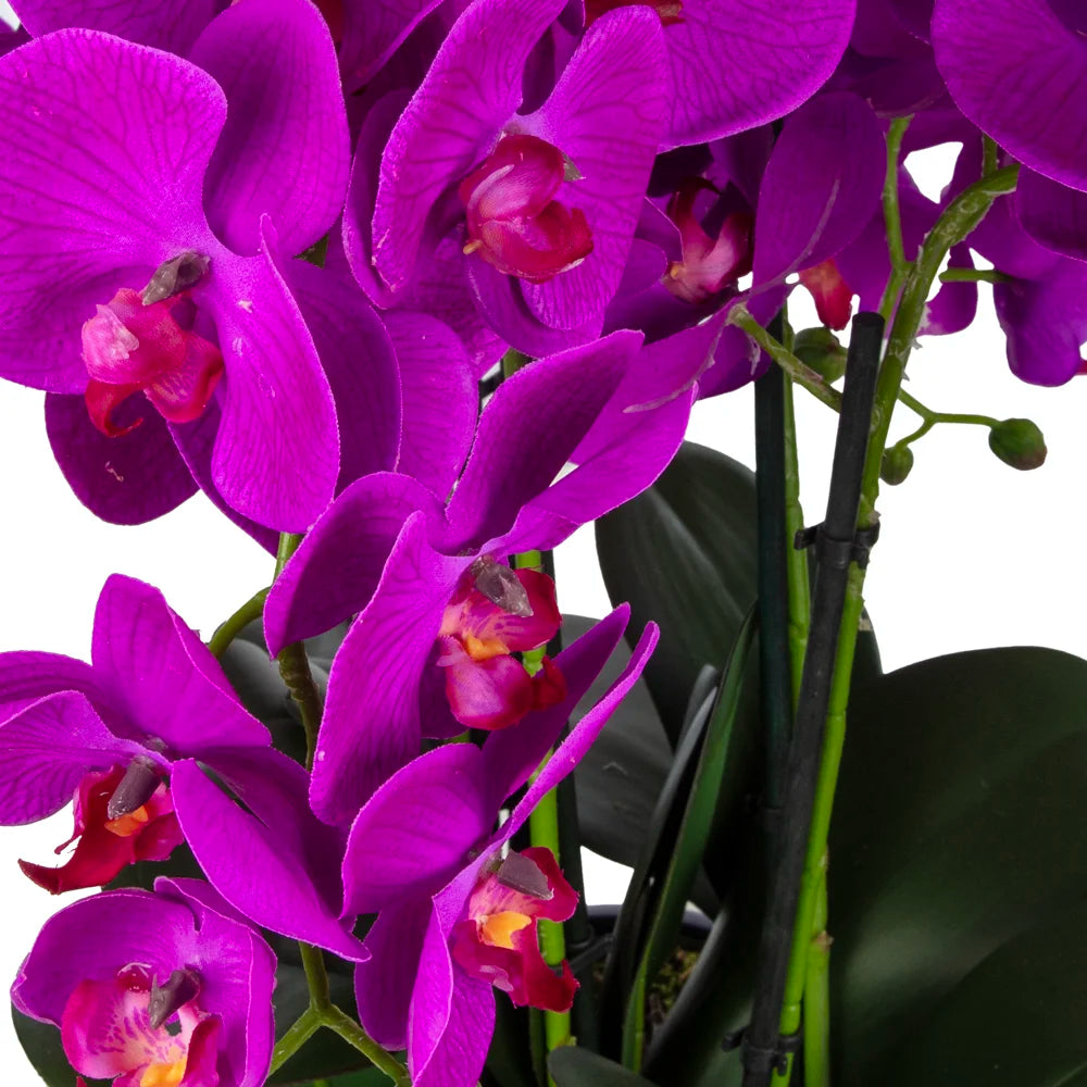 Yapay Orkide Aranjman  – Blue Blanc Desenli Seramik Saksıda