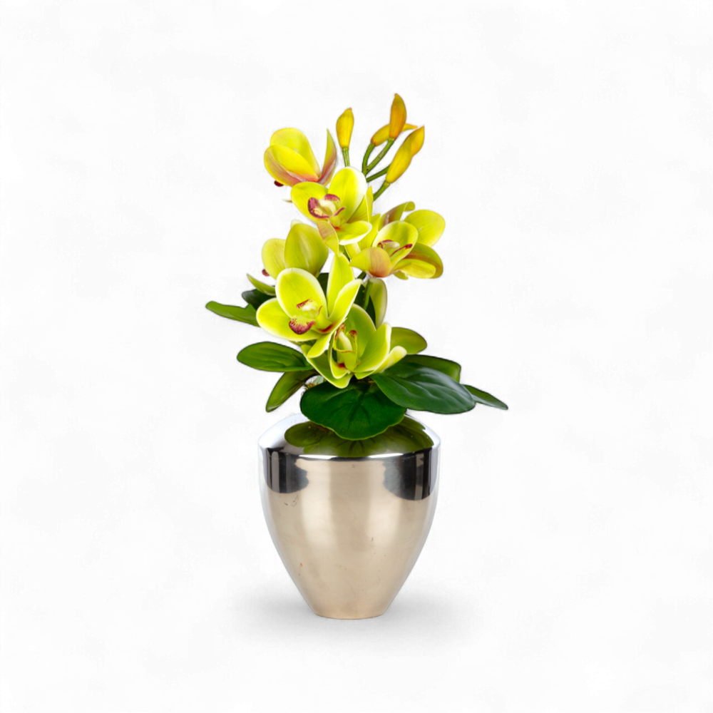 Yeşil Orkide Aranjmanı – Mini Metal Vazosunda