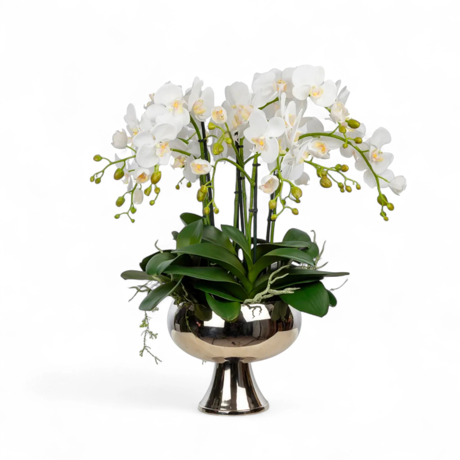 Metal Ayaklı Saksıda Islak Dokulu Orkide Aranjman – Beyaz Çiçeklerle