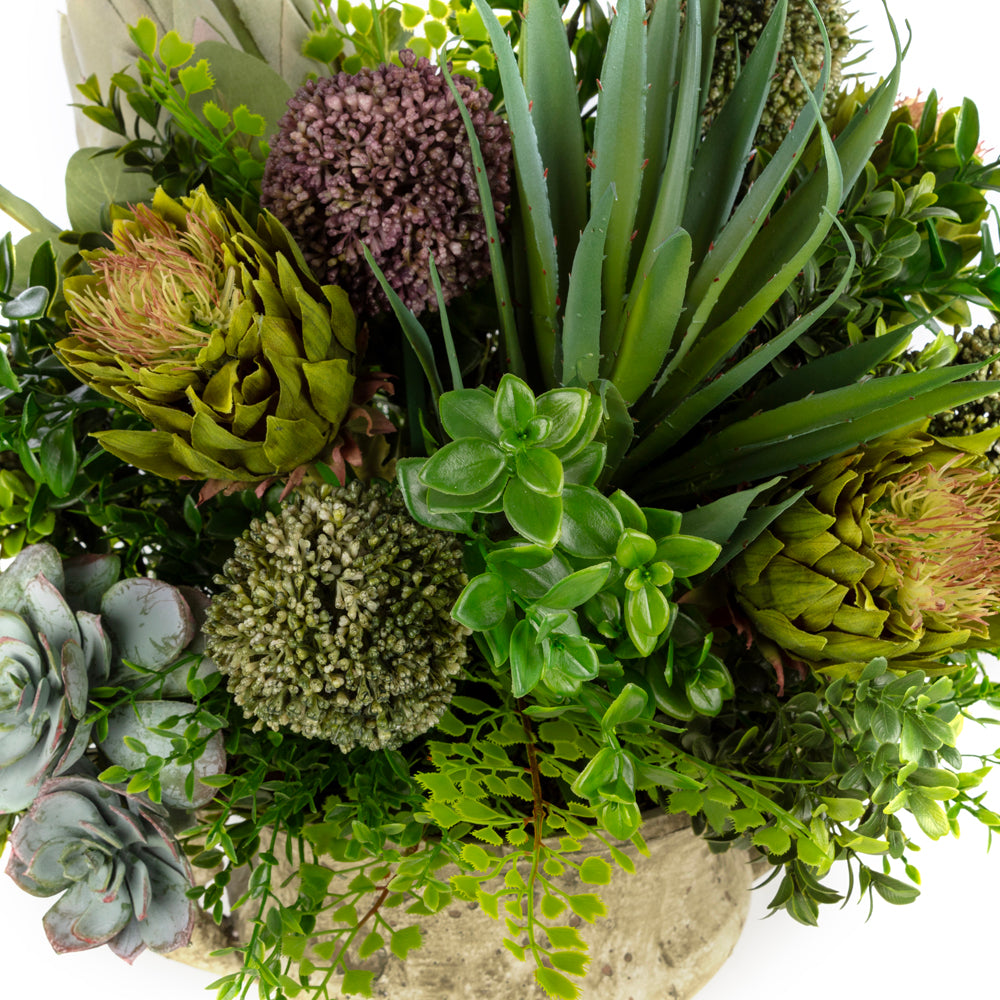 Vintage Vazo Karışık Kaktüs Aranjman - Doğal Görünümlü